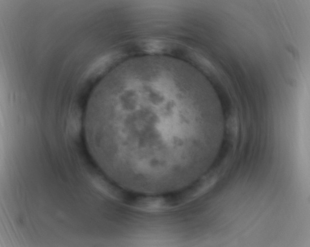 X0000115580554200911101150