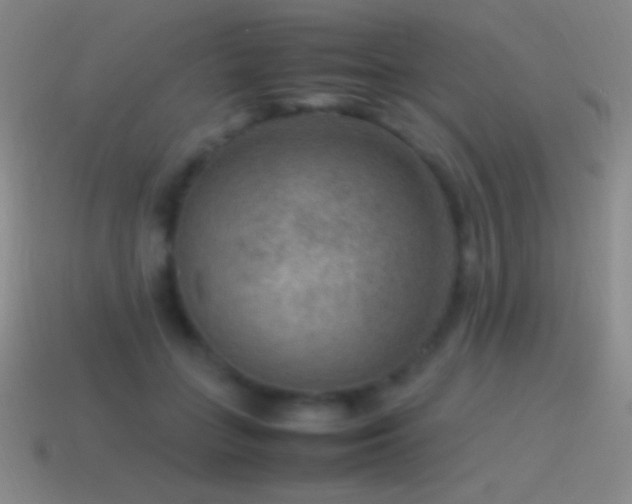 X0000115580555200911101150