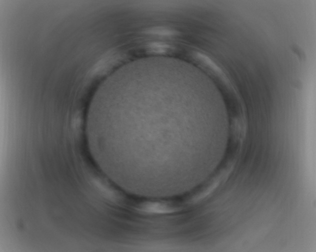 X0000115580557200911101150