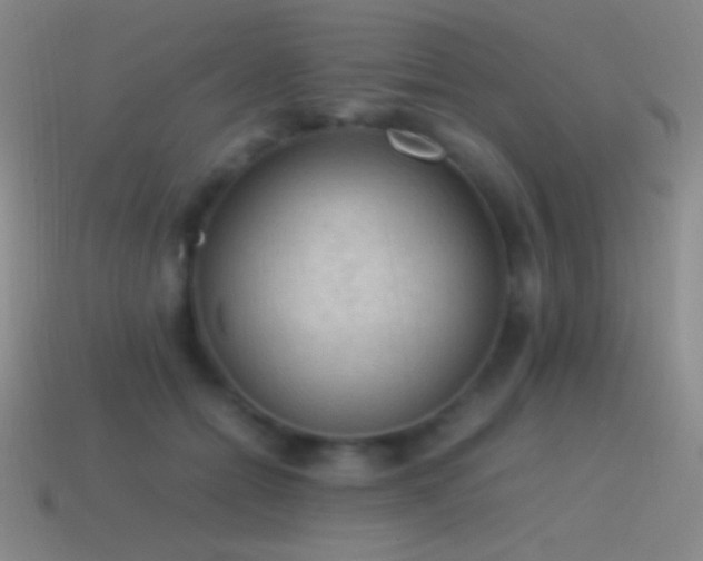 X0000115580558200911101150