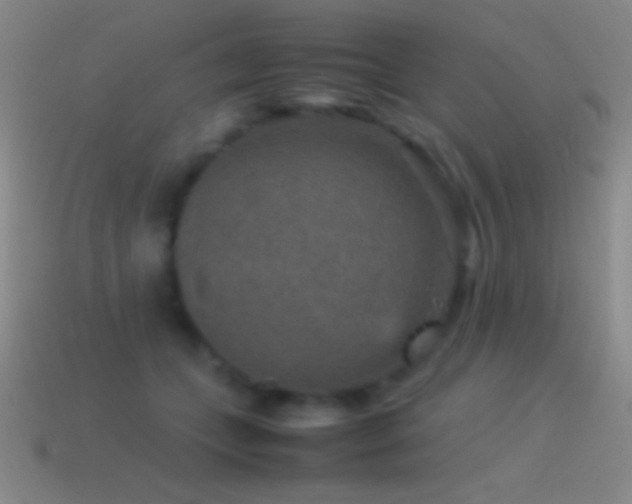 X0000115580559200911101150