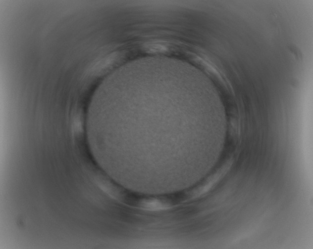 X0000115580561200911101150