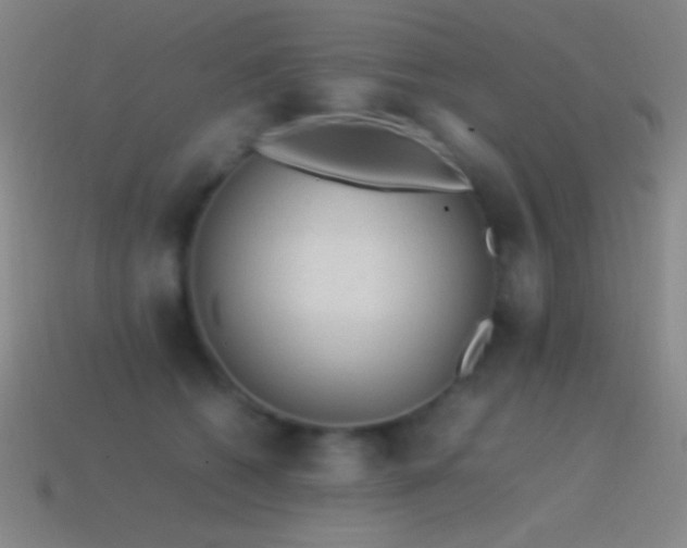 X0000115580562200911101150