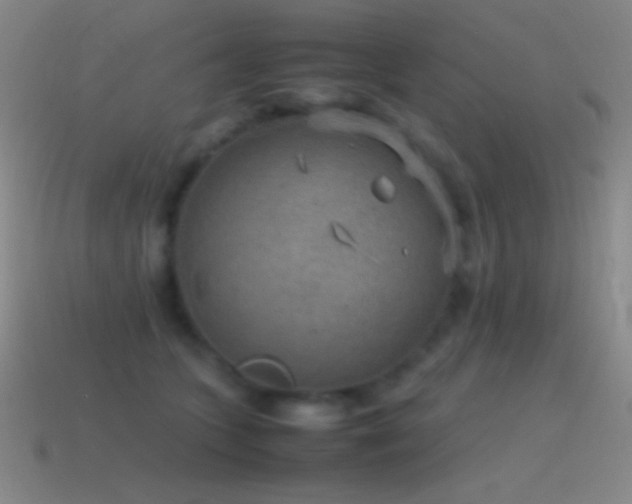 X0000115580563200911101150