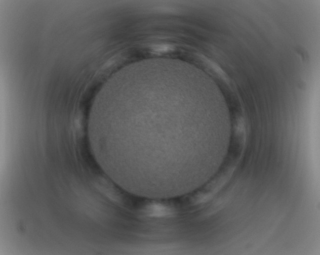 X0000115580565200911101150