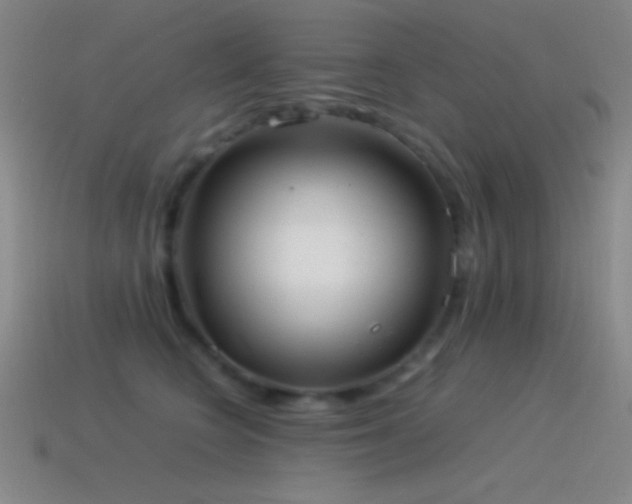 X0000115580566200911101150