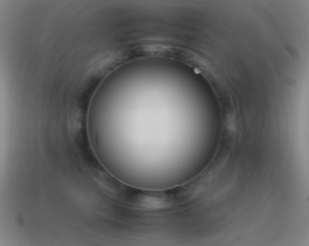 X0000115580567200911101150