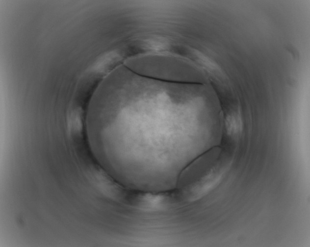 X0000115580570200911101150