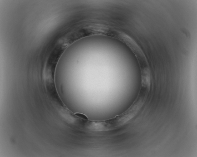 X0000115580573200911101150