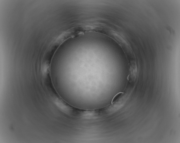 X0000115580574200911101150