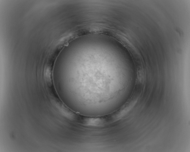 X0000115580575200911101150