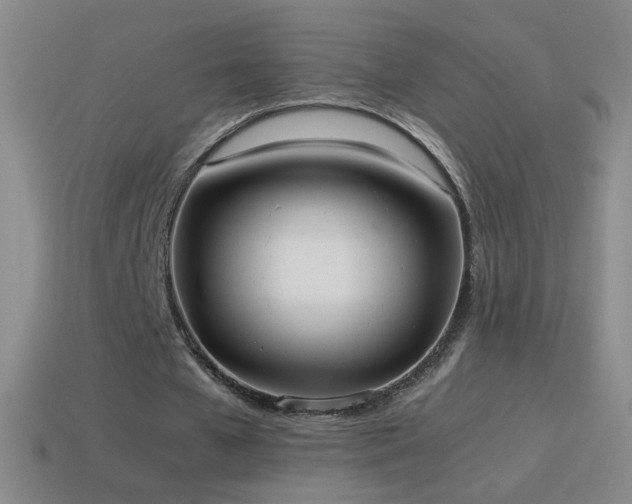 X0000115580577200911101150