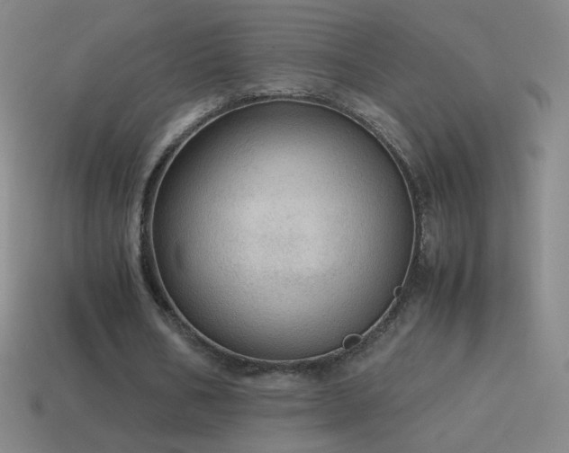 X0000115580578200911101150