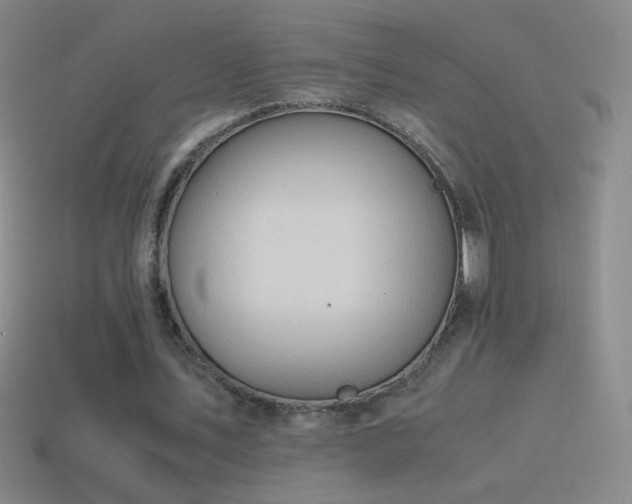 X0000115580579200911101150