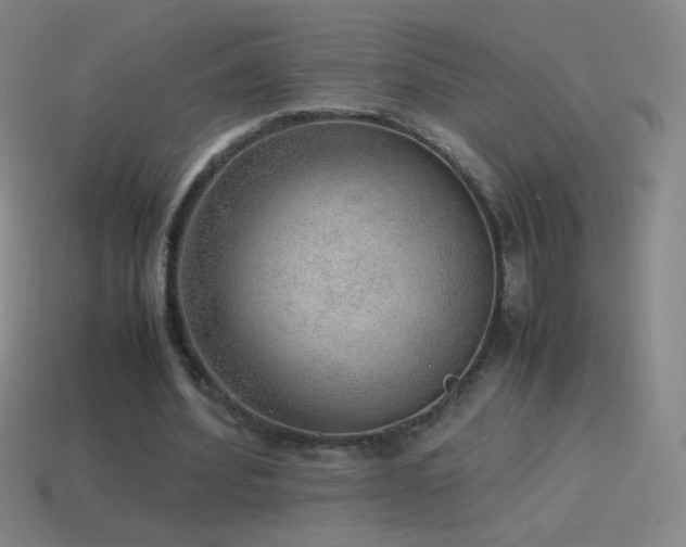 X0000115580580200911101150