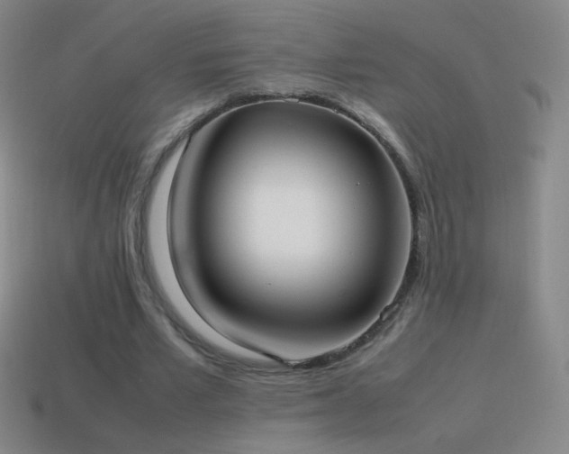 X0000115580581200911101150