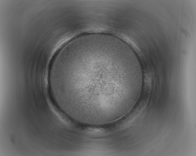 X0000115580582200911101150