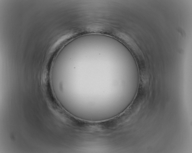 X0000115580583200911101150