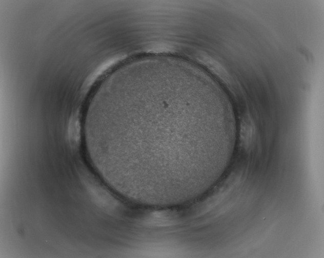 X0000115580584200911101150