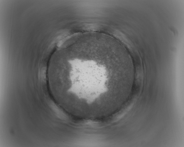 X0000115580585200911101150