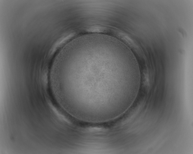 X0000115580586200911101150