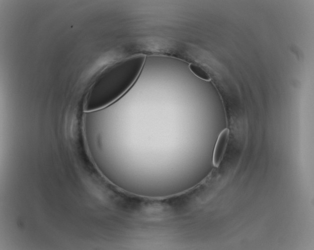 X0000115580587200911101150