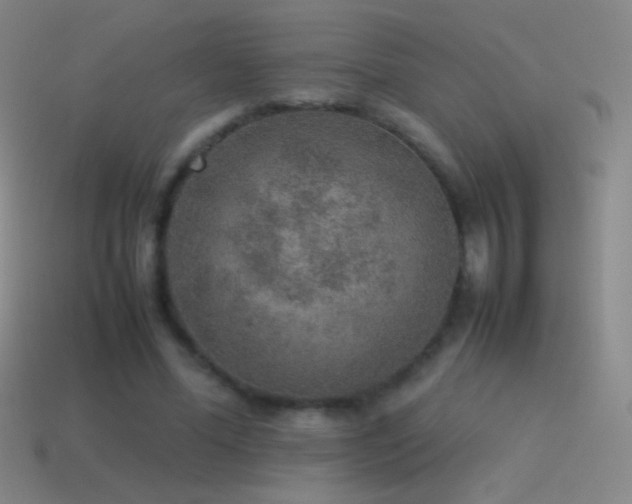 X0000115580588200911101150