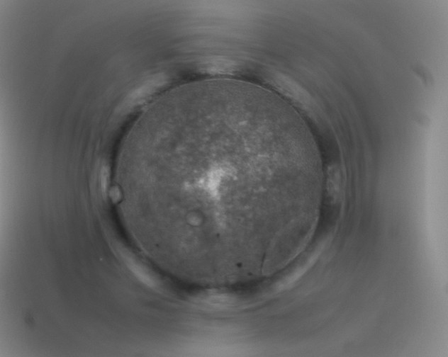 X0000115580589200911101150