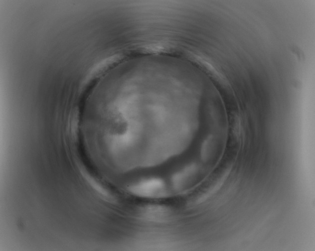 X0000115580590200911101150