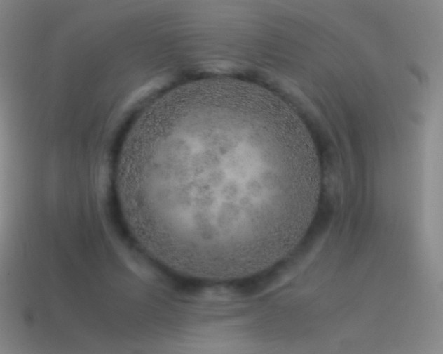 X0000115580591200911101150