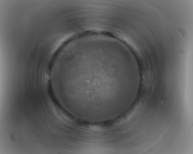 X0000115580592200911101150