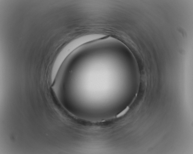 X0000115580593200911101149