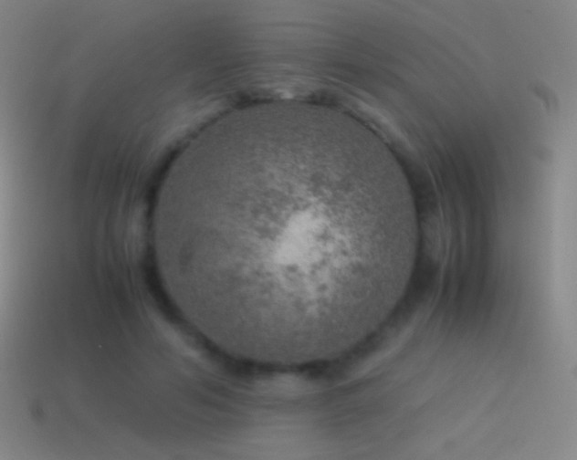 X0000115580594200911101149