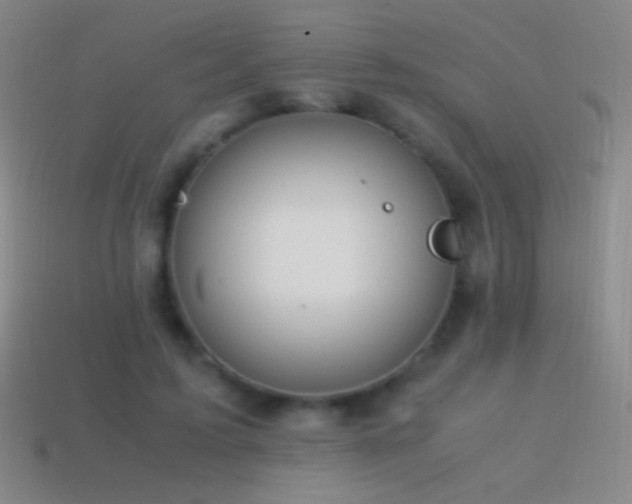 X0000115580595200911101149