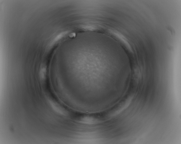 X0000115580596200911101149