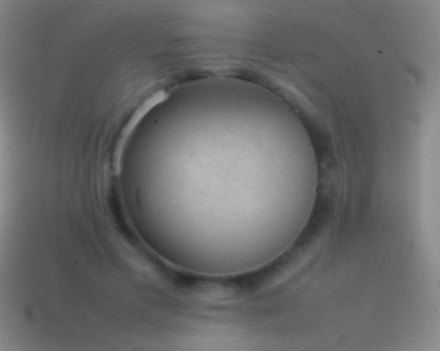 X0000115580597200911101149