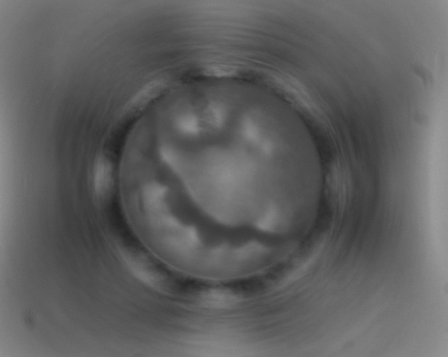 X0000115580598200911101149