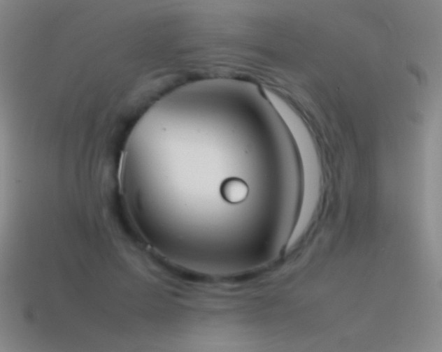 X0000115580599200911101149