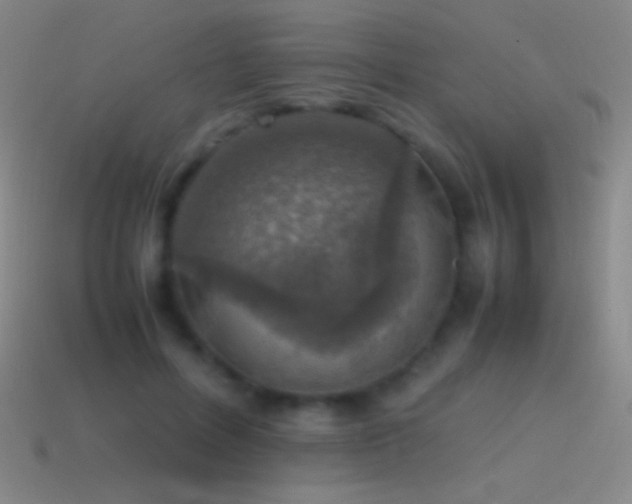 X0000115580600200911101149