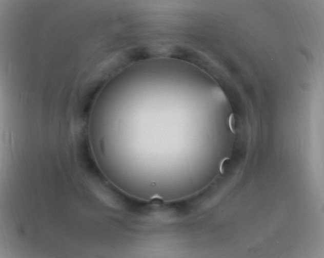 X0000115580601200911101149