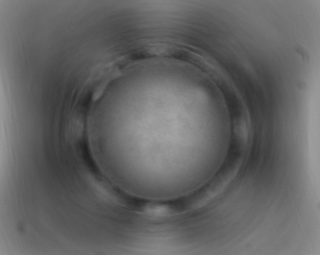 X0000115580602200911101149