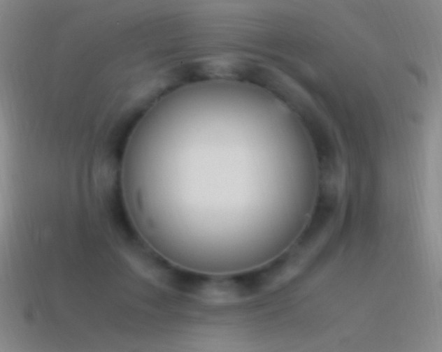 X0000115580603200911101149