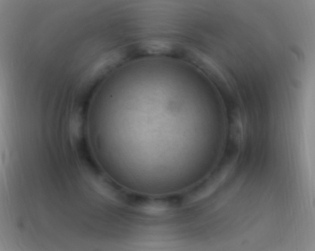 X0000115580604200911101149