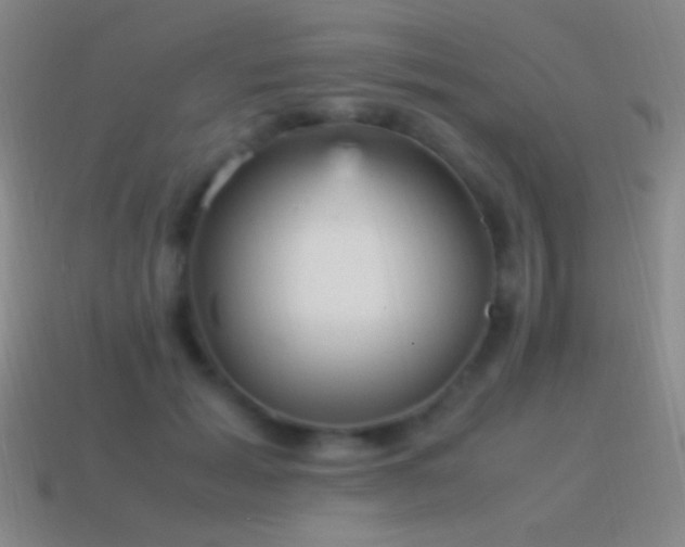 X0000115580605200911101149