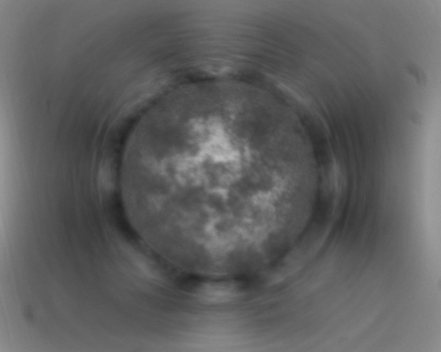 X0000115580606200911101149