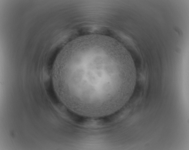 X0000115580607200911101149