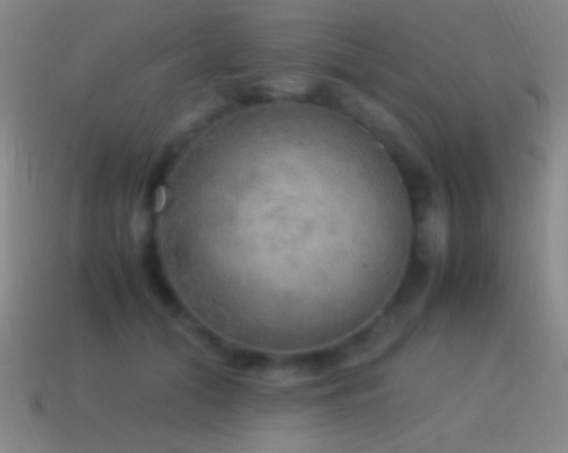 X0000115580608200911101149