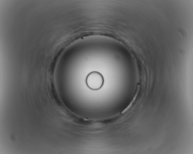 X0000115580609200911101149