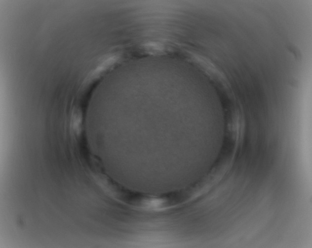 X0000115580610200911101149