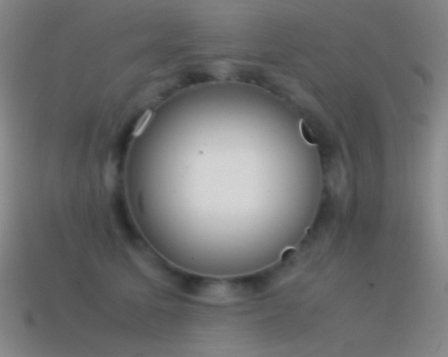 X0000115580611200911101149